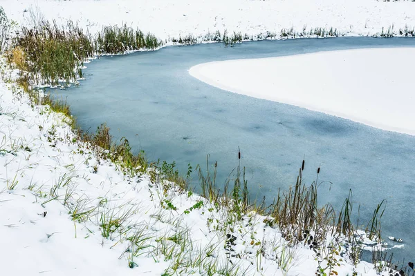 Costa Ghiacciata Uno Stagno Inverno Erba Neve — Foto Stock