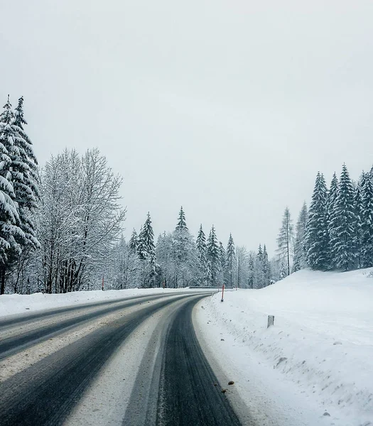 Foresta Invernale Innevata Nevicata Strada — Foto Stock