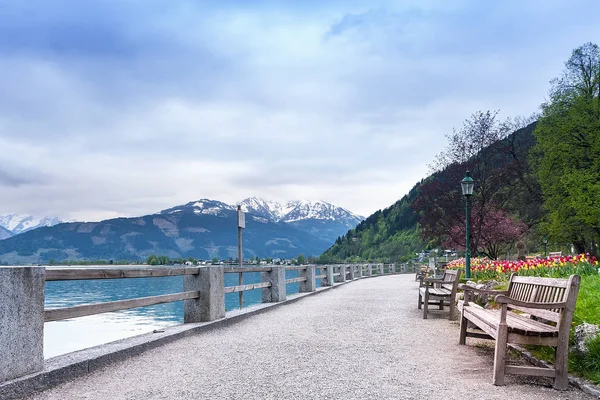 Zeller See Salzburg Austria Green Grass Tulips Blossom Shop Bank — Stock Photo, Image