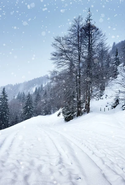 Foresta Invernale Innevata Nevicata Strada — Foto Stock