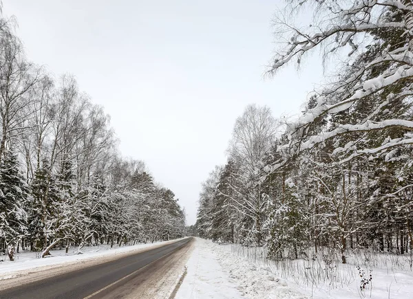 Silnice Zasněžených Dřevo Moskevské Oblasti — Stock fotografie