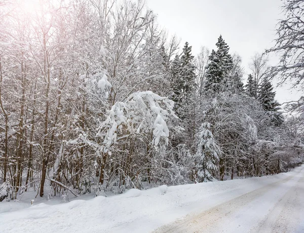 Estrada Madeira Coberta Neve Área Moscou — Fotografia de Stock