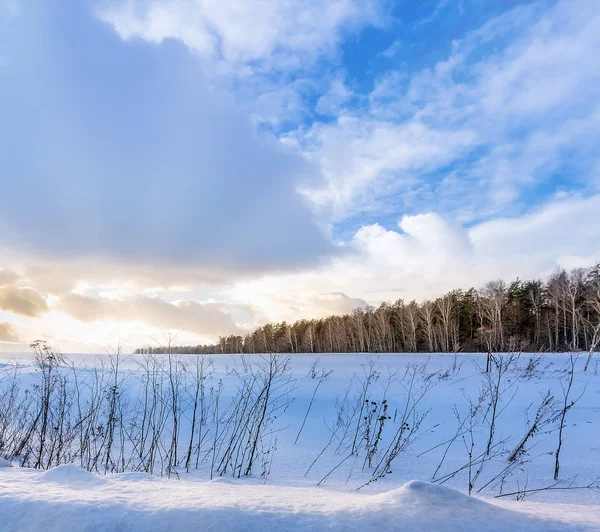 Zimní Krajina Ledna Tulská Oblast — Stock fotografie