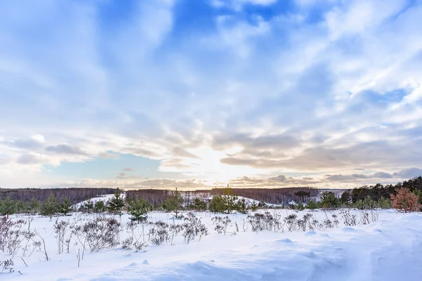 Vinter Januari Landskap Tula Regionen Frostiga Nedgång — Stockfoto