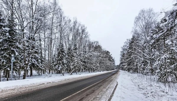 Vägen Området Snötäckta Trä Moskva — Stockfoto