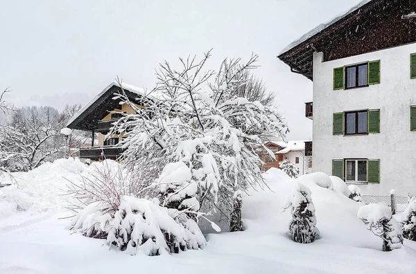 După Căderea Zăpezii Zăpadă Ramuri Copaci Snowdrifts Blizzard — Fotografie, imagine de stoc