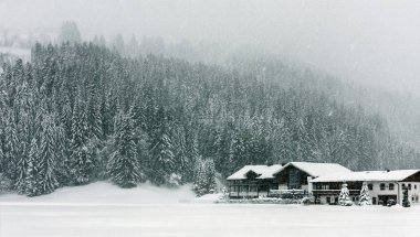 Yoğun kar yağışı, kötü görüş, blizzard, frost, kış. Alpler, Avusturya. House, çam ve köknar ağaçları.
