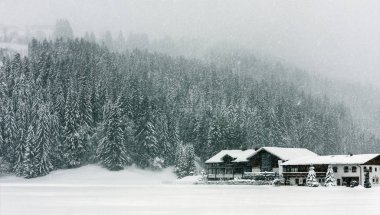 Heavy snowfall, poor visibility, blizzard, frost, winter. Alps, Austria. House, pines and fir-trees. clipart