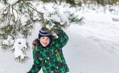 Altı yaşında çocuk kışın ahşaptır. Bir çam dalı altında çocuk. İğneler kar üzerinde yatıyor.
