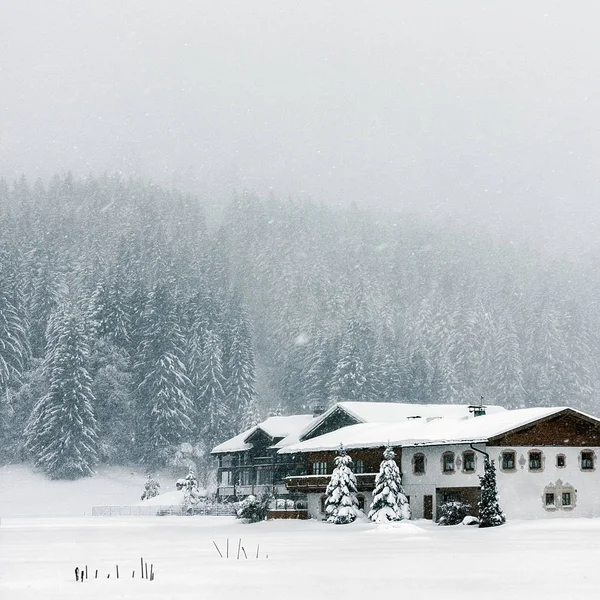 Nieve Fuerte Mala Visibilidad Ventisca Helada Invierno Alpes Austria Casa —  Fotos de Stock