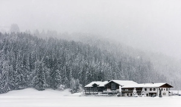 Starker Schneefall Schlechte Sicht Schneesturm Frost Winter Alpen Österreich Haus — Stockfoto