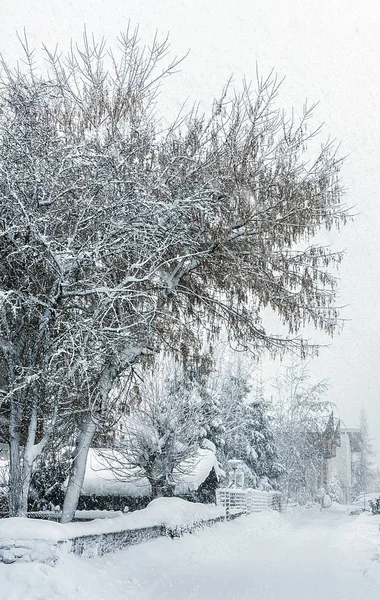 Сильный Снегопад Плохая Видимость Метель Мороз Зима Альпы Австрия Дом — стоковое фото