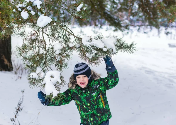 Six Year Old Boy Wood Winter Child Pine Branch Needles — Stock Photo, Image