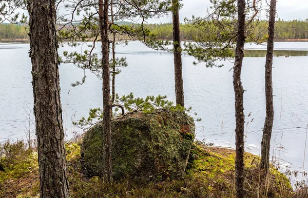 Piękne Jezioro Krajobraz Finlandii — Zdjęcie stockowe