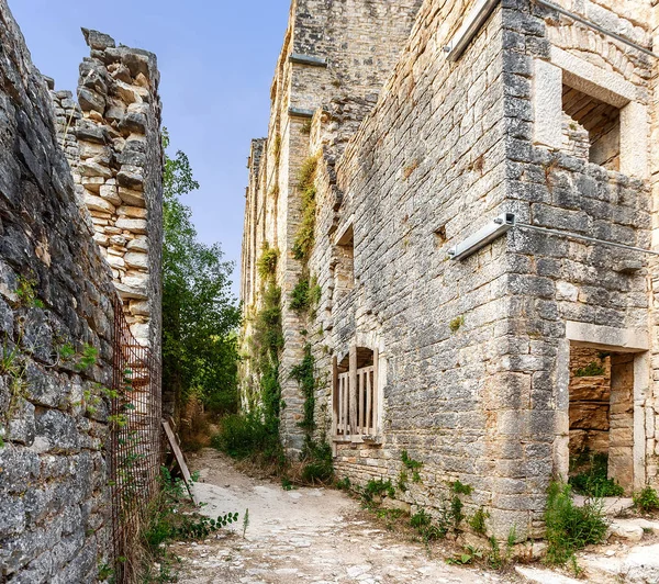 Castle Dvigrad Istria Croatia Picturesque Ruins — Stock Photo, Image