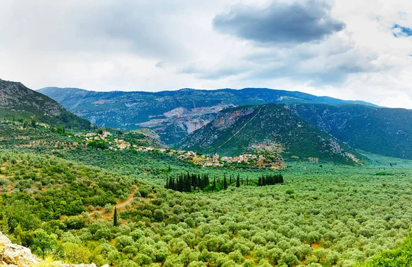 Dalen Amfissa Stad Fokis Grekland Del Kommunen Delphi — Stockfoto