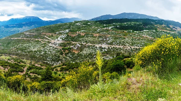 Tal Der Nähe Von Amfissa Griechenland Teil Der Gemeinde Delphi — Stockfoto