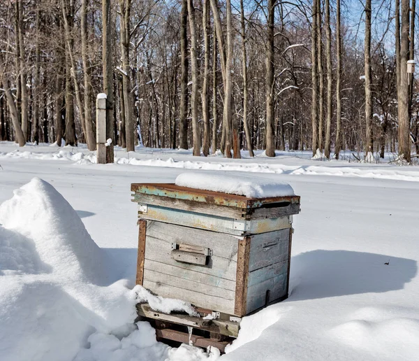 Alveare Nell Apiario Inverno Gelo Intenso Molta Neve Russia Regione — Foto Stock