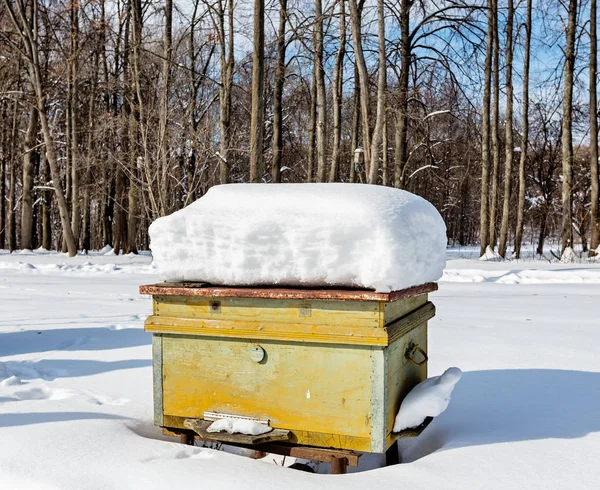 Beehive Apiary Winter Heavy Frost Lot Snow Russia Tula Region — Stock Photo, Image