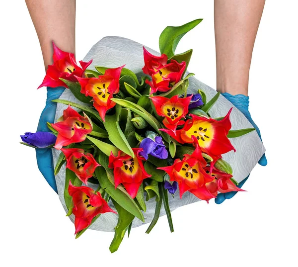 无接触的送花 戴着医用手套 戴着红色郁金香和虹膜束的男性信使 大流行病期间花卉生意的概念 健康安全 — 图库照片