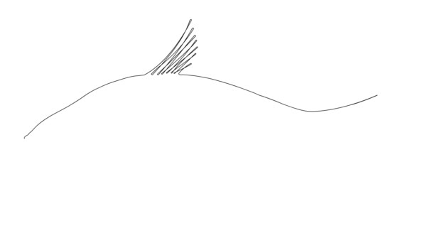 Uma Linha Desenho Animação Simples Contorno Contínuo Único Peixe Desenho — Vídeo de Stock