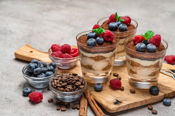 Klasszikus tiramisu desszert áfonyával és málna egy pohár beton háttér — Stock Fotó
