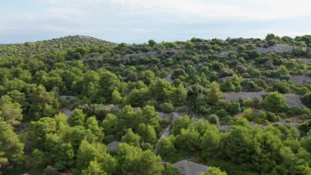 Hırvatistan'ın Adriyatik Denizi'nde marina koyu havadan drone atışı — Stok video