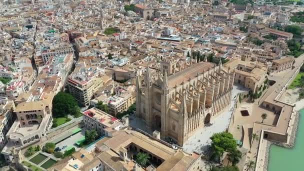 Légi drone videofelvétel híres katedrális La Seu Palma de Mallorca Spanyolország — Stock videók