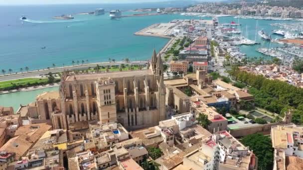 Aerial drone video footage Famous Cathedral La Seu in Palma de Mallorca Spain — Stock Video