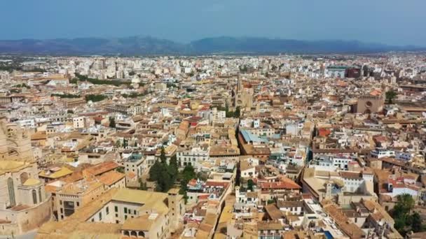 Luchtfoto drone videobeelden beroemde kathedraal La Seu in Palma de Mallorca Spanje — Stockvideo