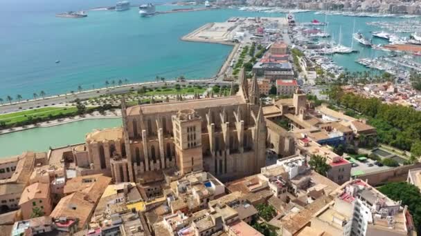 Imagens de vídeo drone aéreo Catedral famosa La Seu em Palma de Maiorca Espanha — Vídeo de Stock