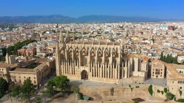 Luchtfoto drone videobeelden beroemde kathedraal La Seu in Palma de Mallorca Spanje — Stockvideo