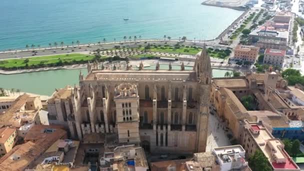 Imagens de vídeo drone aéreo Catedral famosa La Seu em Palma de Maiorca Espanha — Vídeo de Stock