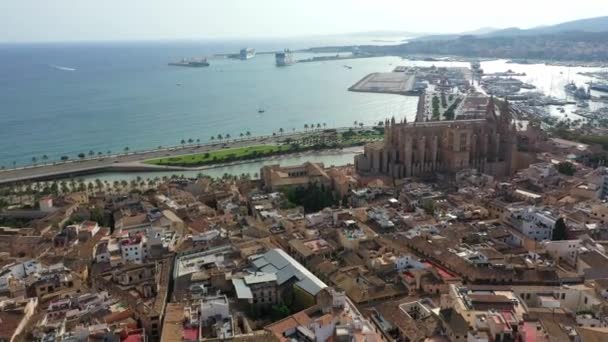 Съемки с беспилотника Знаменитый собор Ла Сеу в Пальма-де-Майорка Испания — стоковое видео