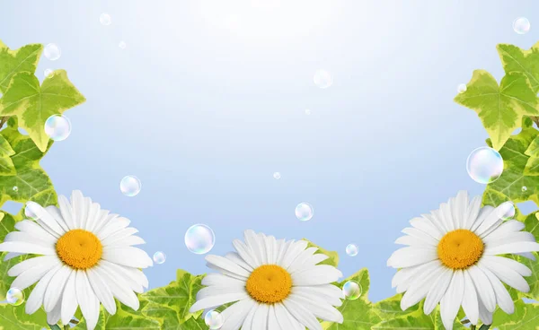 雏菊和气泡在天空中的花朵边界 — 图库照片
