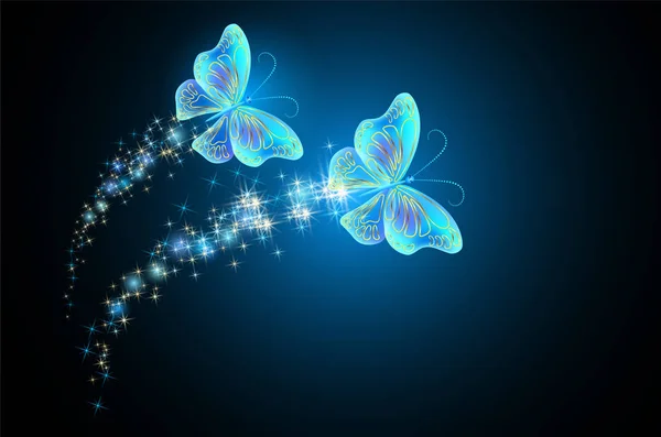 Volando Dos Mariposas Con Brillo Sendero Ardiente Estrellas Brillantes — Vector de stock