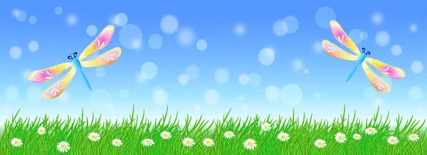 Summer landscape with fairy dragonflies  in the sky, meadow flowers and green grass