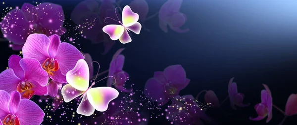 神秘的粉红色兰花和闪亮的星星的神奇蝴蝶 — 图库照片