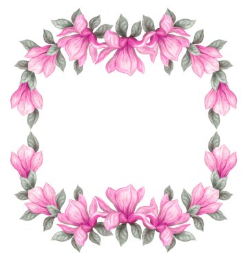 Beyaz arka plan üzerinde izole suluboya kalemleri ve boyalar pembe Manolya çiçek boyama elle çizilmiş. Çiçek bahar çerçeve.
