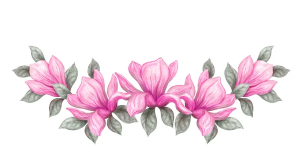 Hand Drawn Painting Watercolor Pencils Paints Pink Magnolia Flowers Isolated — Stock Photo, Image