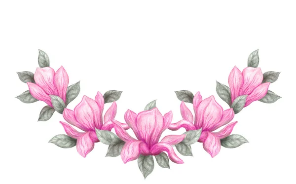 手绘水彩画水彩画铅笔和画粉红色的木兰花孤立在白色的背景 花泉饰 — 图库照片