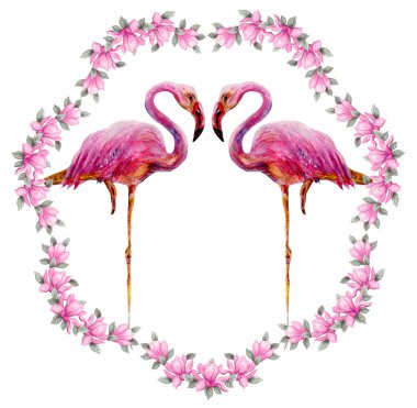 İki pembe güzel flamingolar çerçeve beyaz arka plan üzerinde izole Manolya çiçek çiçek duruyor. Elle çizilmiş suluboya boya boyama.