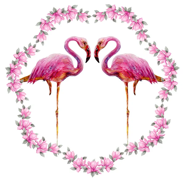 Két Gyönyörű Flamingók Elszigetelt Fehér Background Magnólia Virág Virág Keretben — Stock Fotó