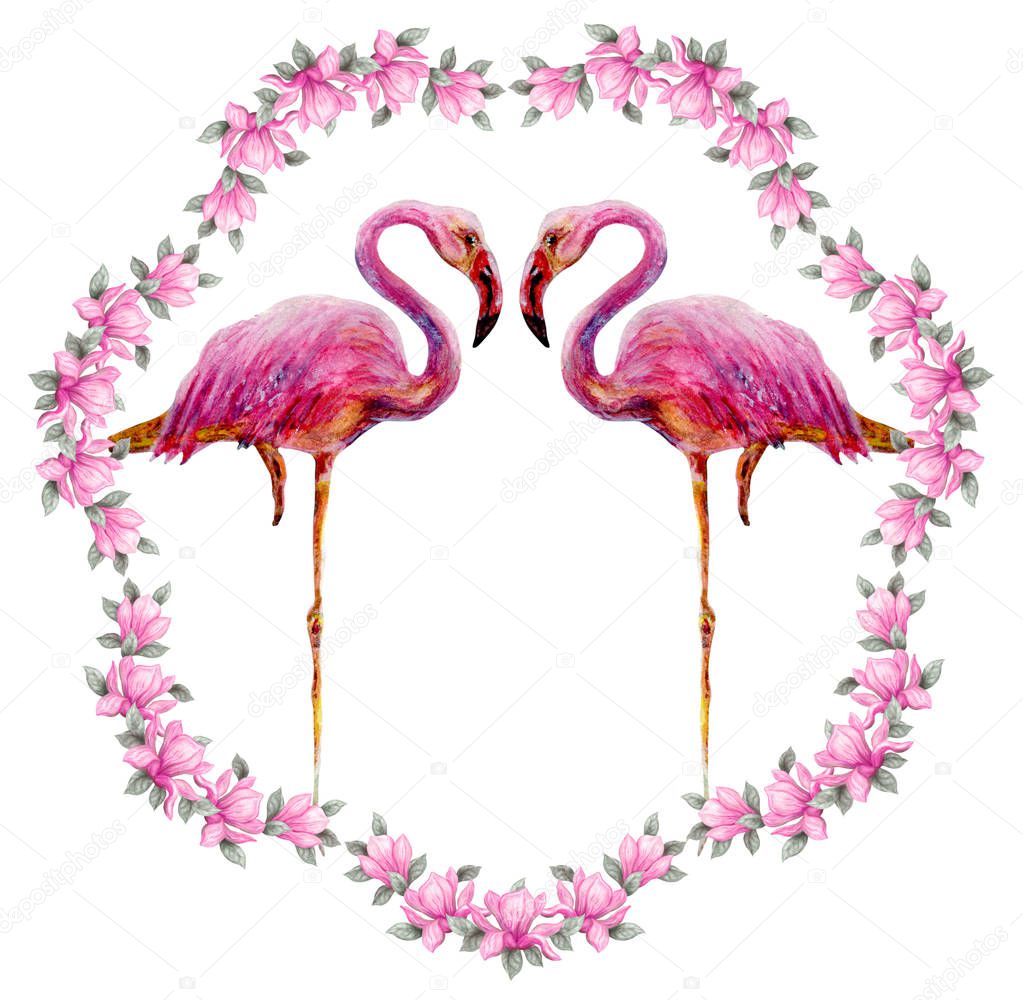 Two pink beautiful flamingos stands in floral frame of magnolia flowers isolated on white background. Hand drawn painting watercolor paints.