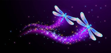 Işıltılı ve yanan patika ile uçan yusufçuk