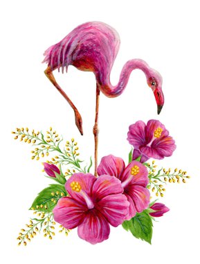 Pembe flamingo ve Çin H ile el çizilmiş suluboya boyama