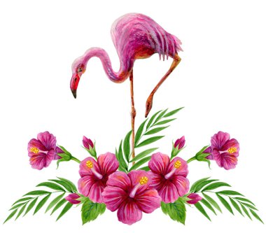 Pembe flamingo ve Çin H ile el çizilmiş suluboya boyama