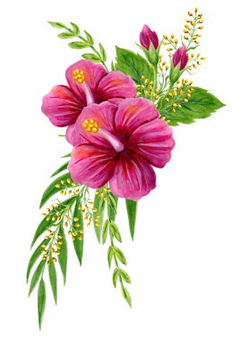 Pembe Çin Hibiscus gül ile el çizilmiş suluboya boyama 