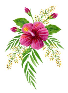 Pembe Çin Hibiscus gül ile el çizilmiş suluboya boyama 