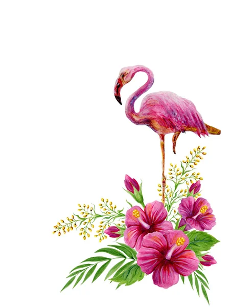 Aquarelle dessinée à la main avec flamant rose et H chinois — Photo